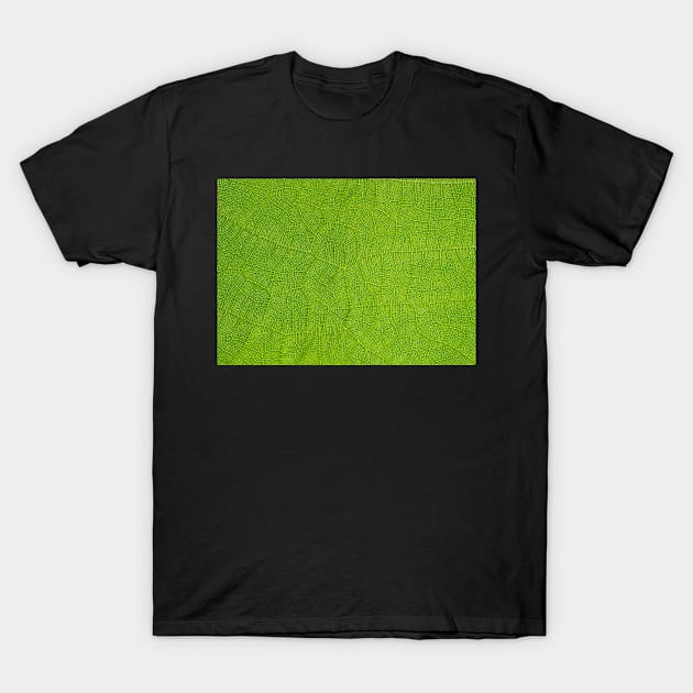 Discovering Beauty in the Small Things: A Magnified View of a Leaf T-Shirt by aestheticand